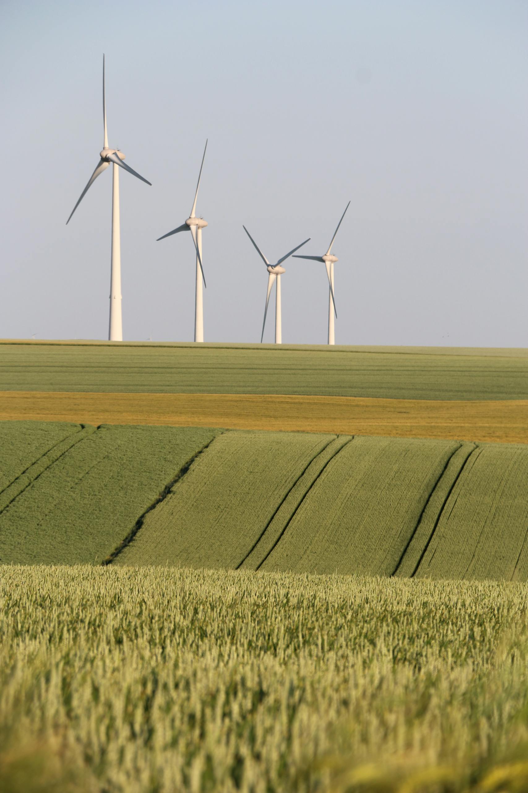 Wind turbines in the countryside generate eco-friendly energy amid vast fields.